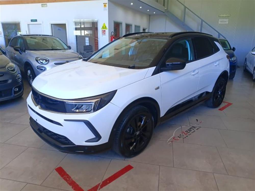 Grandland Grandland 1.5 diesel Ecotec au