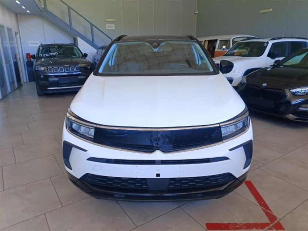 Grandland Grandland 1.5 diesel Ecotec au