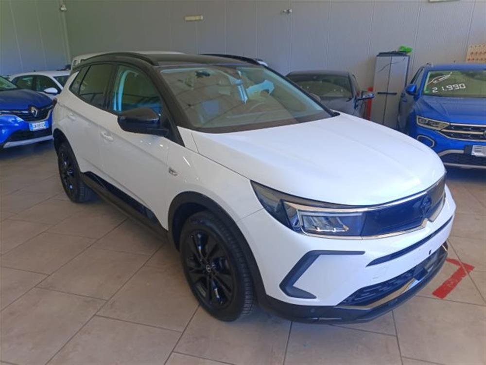 Grandland Grandland 1.5 diesel Ecotec au