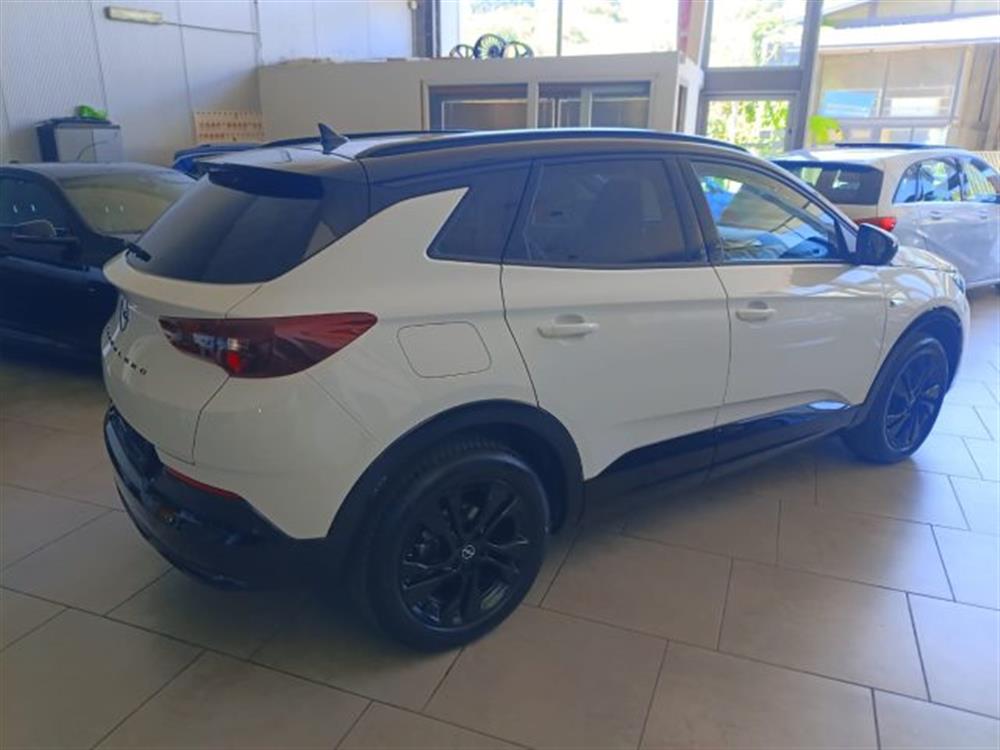 Grandland Grandland 1.5 diesel Ecotec au