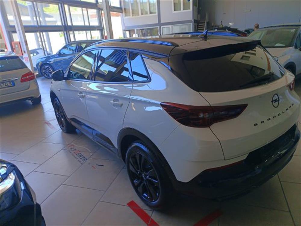 Grandland Grandland 1.5 diesel Ecotec au