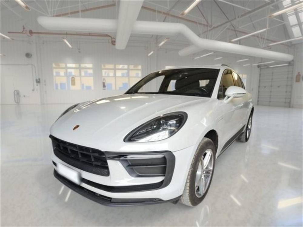 Macan Macan 2.0
