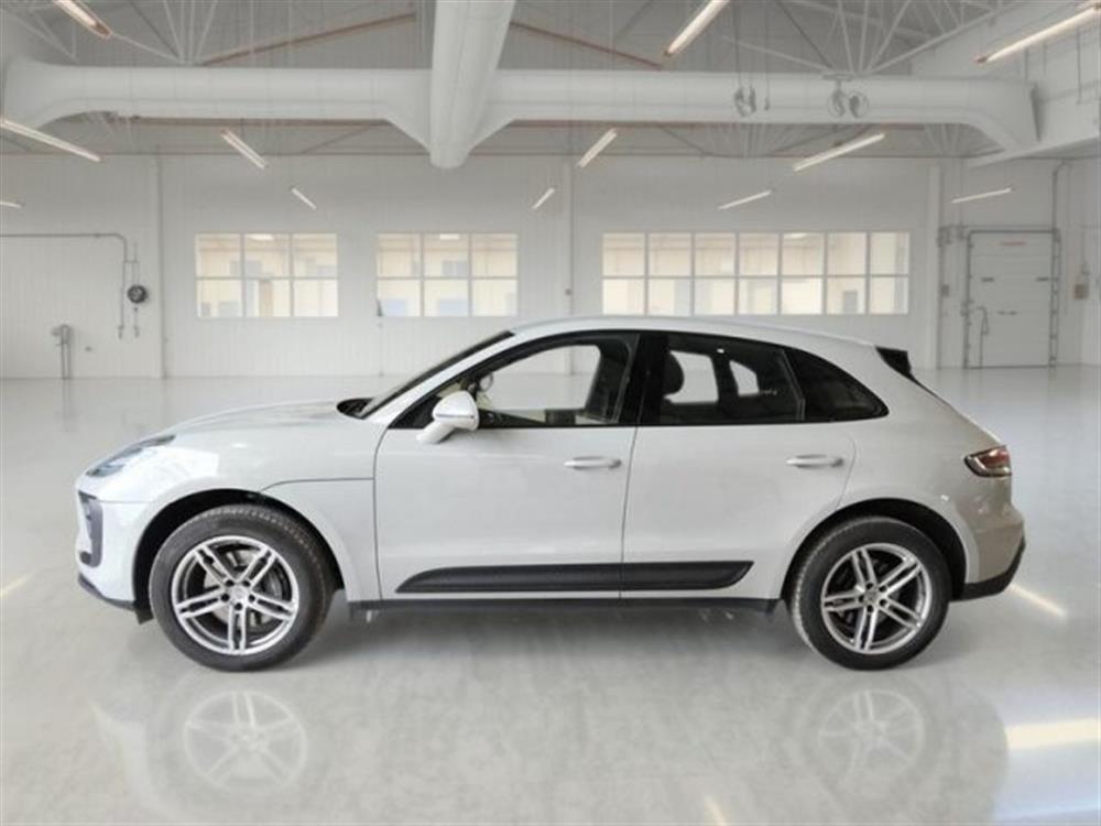 Macan Macan 2.0