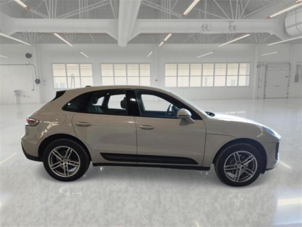 Macan Macan 2.0