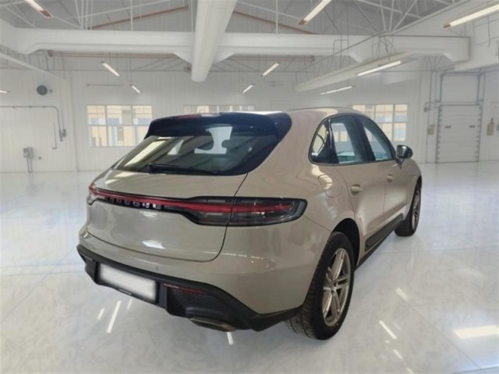 Macan Macan 2.0
