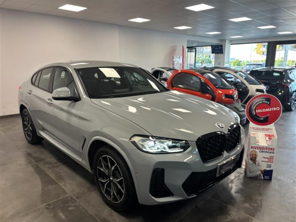X4 X4 xDrive20d 48V Msport