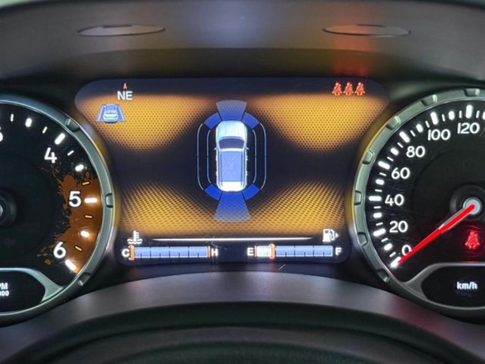 Renegade Renegade 1.6 Mjt 120 CV Limit