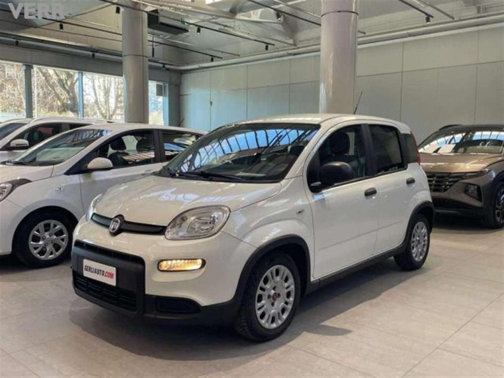 Panda Panda Panda III 2021 1.0 f