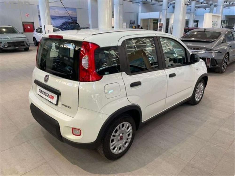 Panda Panda Panda III 2021 1.0 f
