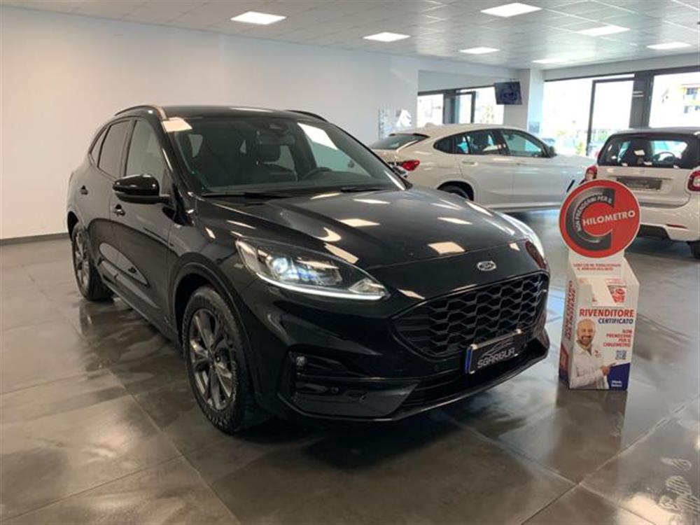 Kuga Kuga 1.5 Diesel ST-Line X