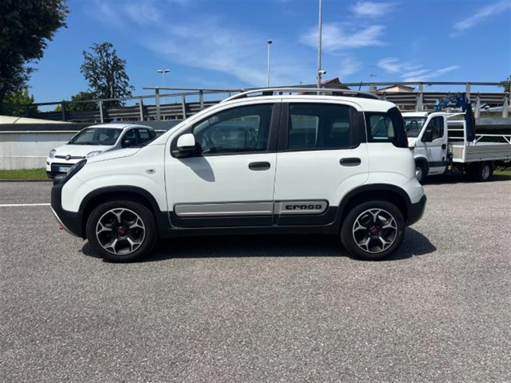 Panda Cross Panda Cross 1.0 FireFly S&S Hybr