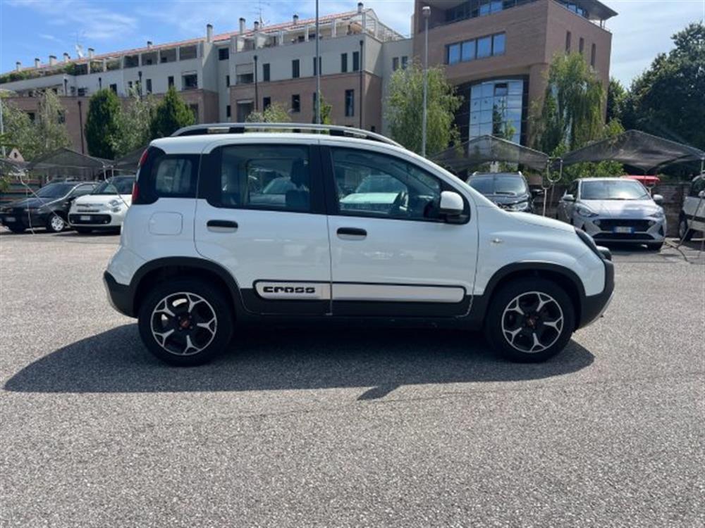 Panda Cross Panda Cross 1.0 FireFly S&S Hybr