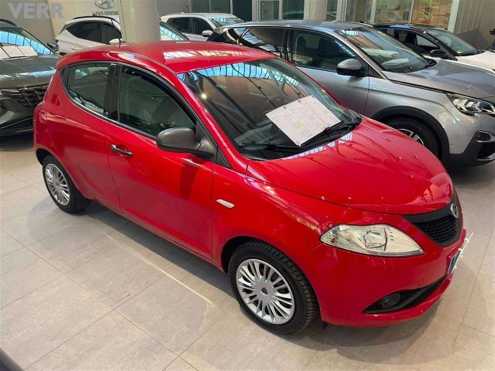 Ypsilon Ypsilon Ypsilon 1.2 Elefanti