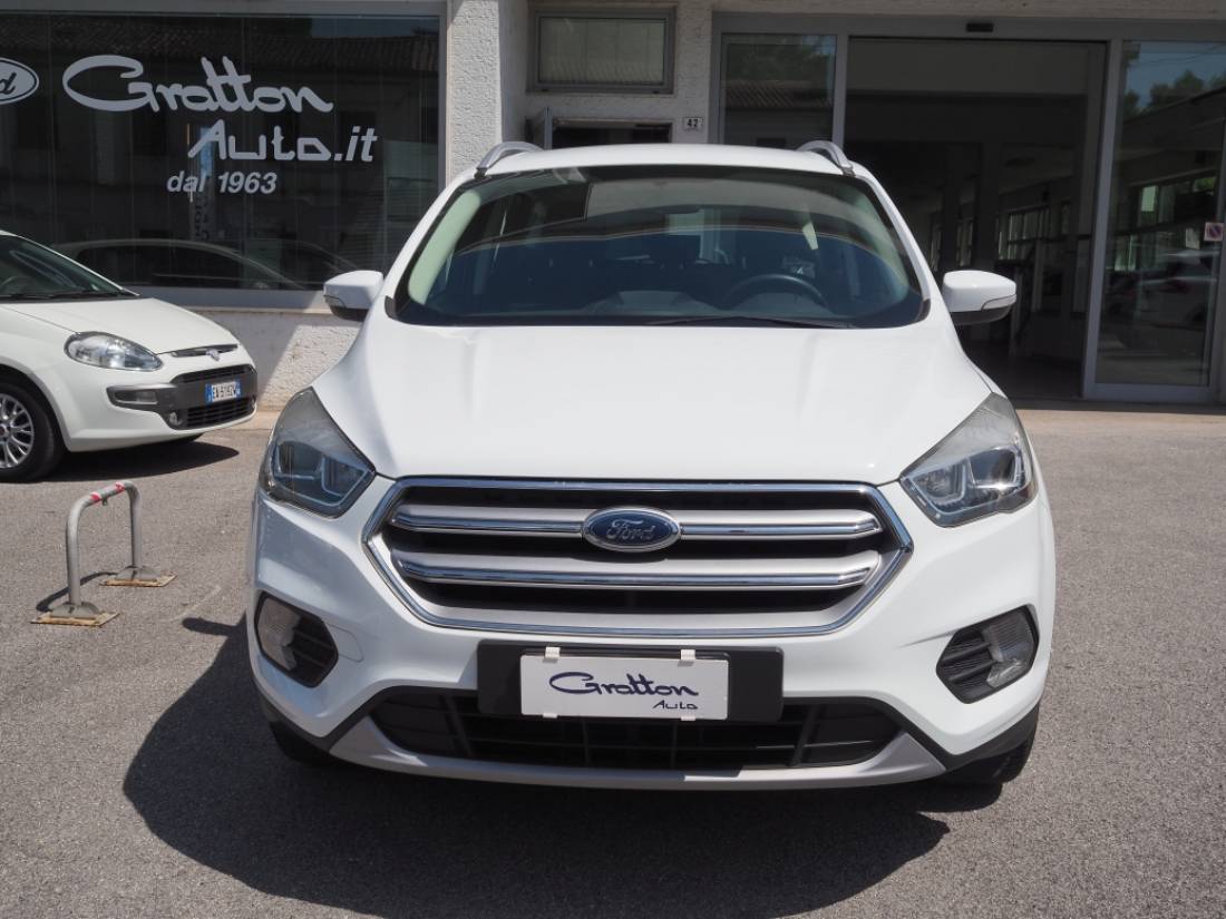 KUGA KUGA - Business