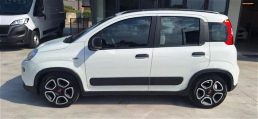 Panda Panda 1.0 FireFly S&S Hybr