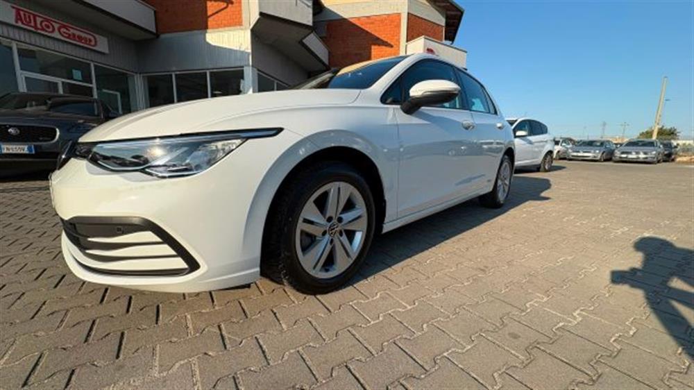 Golf Golf 1.0 eTSI EVO DSG Lif