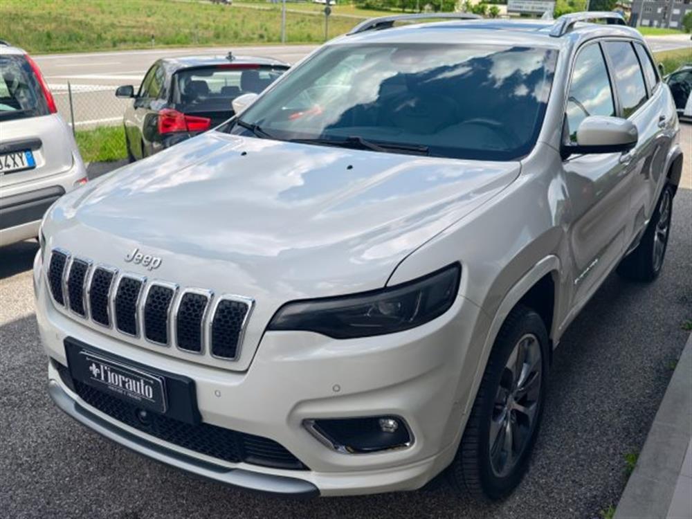 Cherokee Cherokee 2.2 Mjt AWD Active D