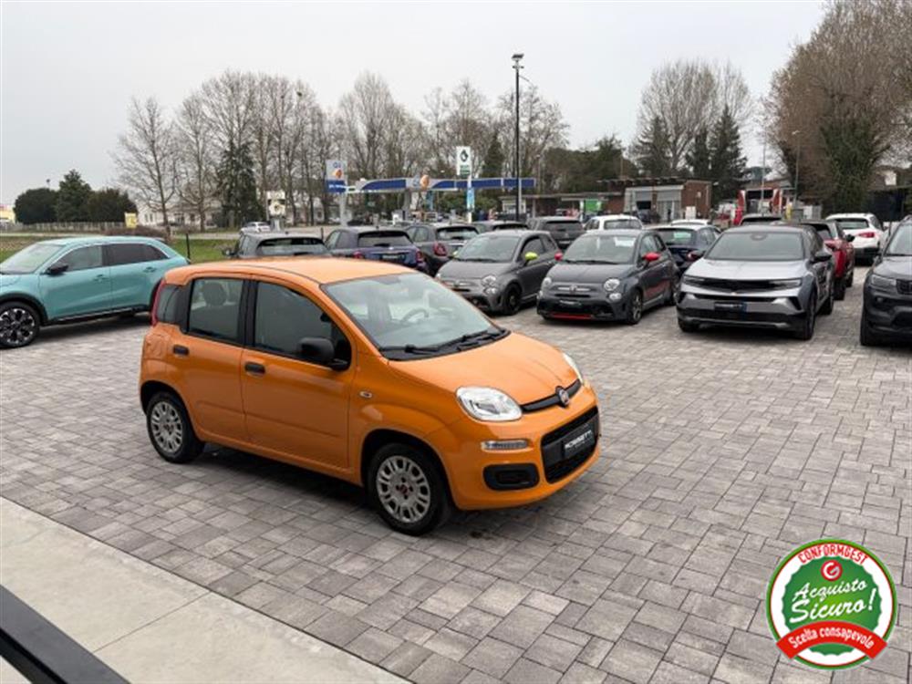 Panda Panda 1.2 Easy ANCHE PER N