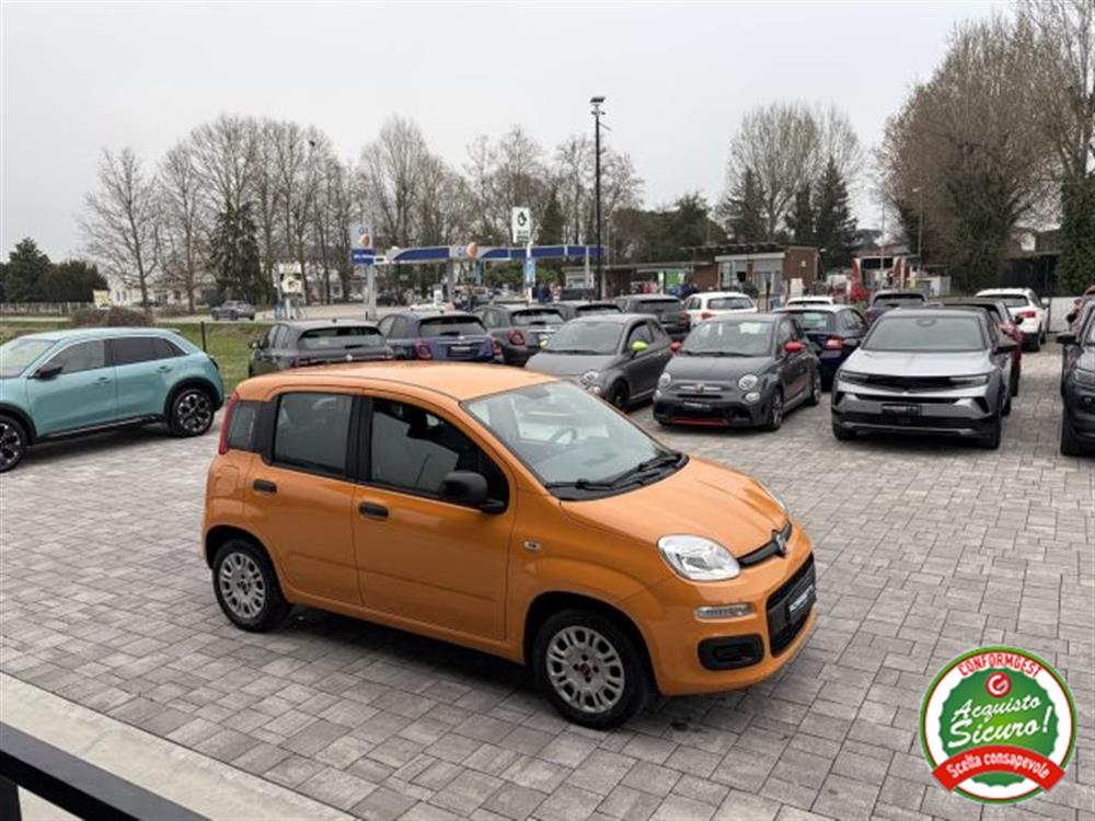 Panda Panda 1.2 Easy ANCHE PER N