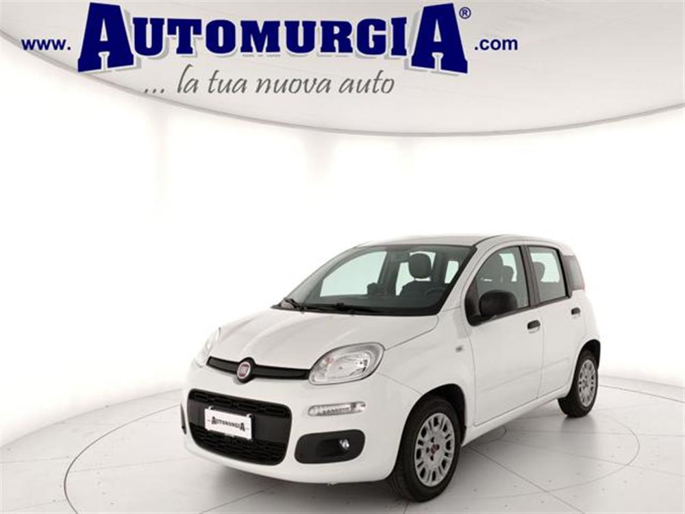Panda Panda 1.2 Easy con 5° post