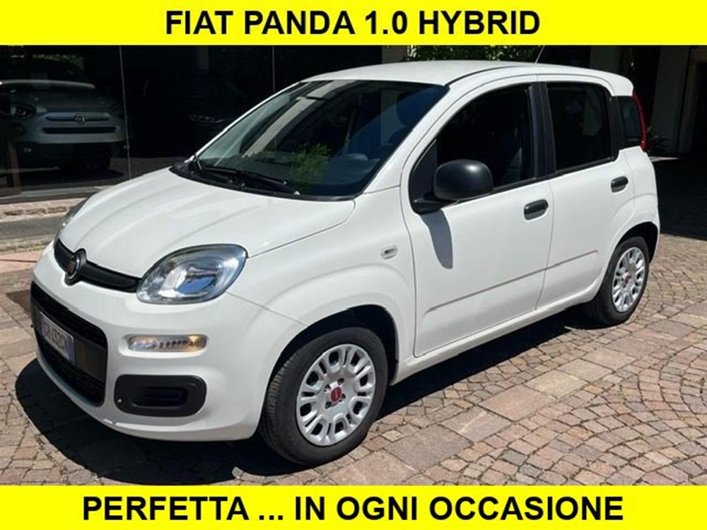 Panda Panda 1.0 FireFly S&S Hybr
