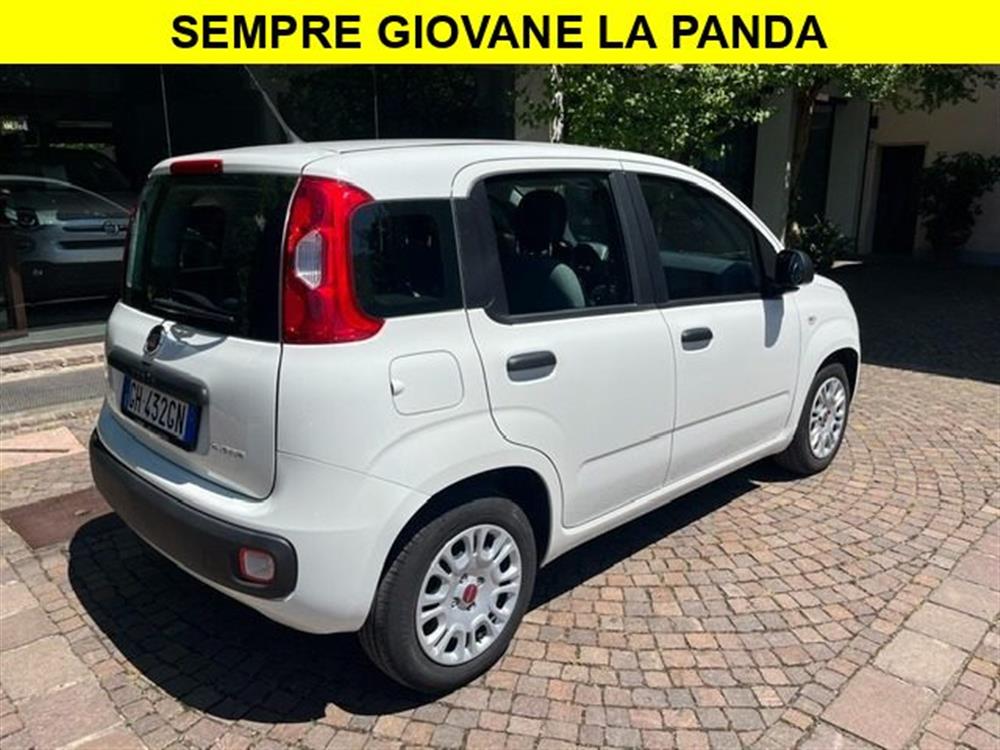 Panda Panda 1.0 FireFly S&S Hybr