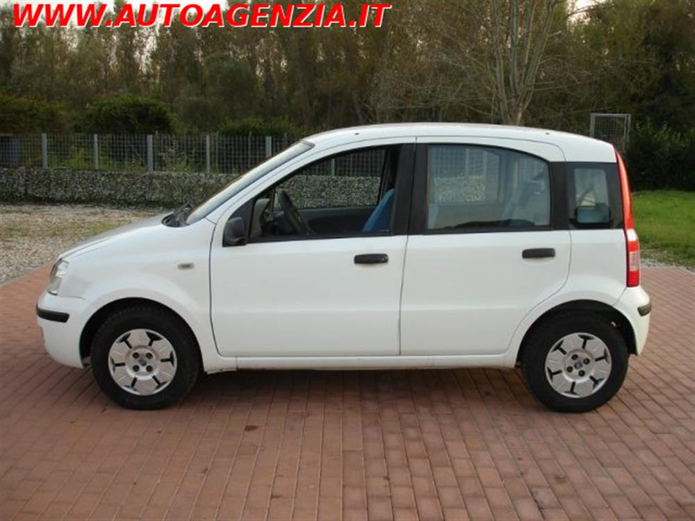 Panda Panda 1.1 Active