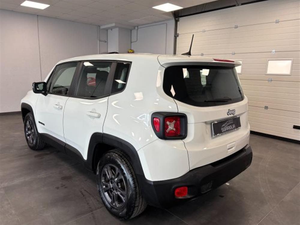 Renegade Renegade 1.6 Mjt Longitude