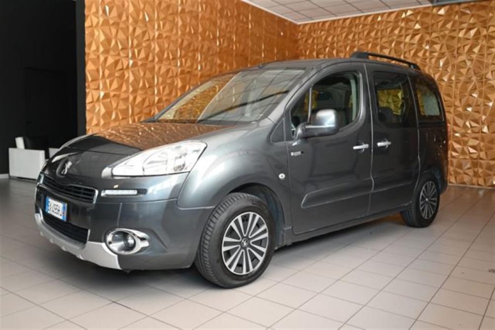 Partner Partner TEPEE 1.6 HDI 92CV S