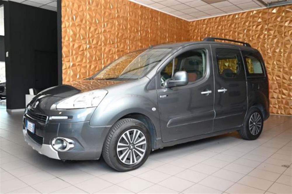 Partner Partner TEPEE 1.6 HDI 92CV S