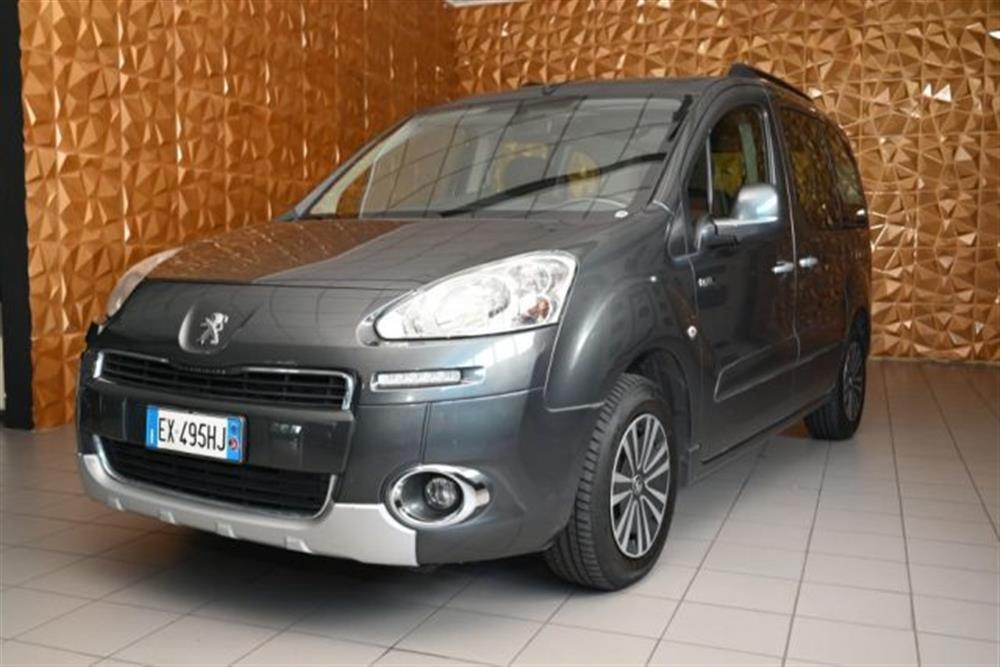 Partner Partner TEPEE 1.6 HDI 92CV S