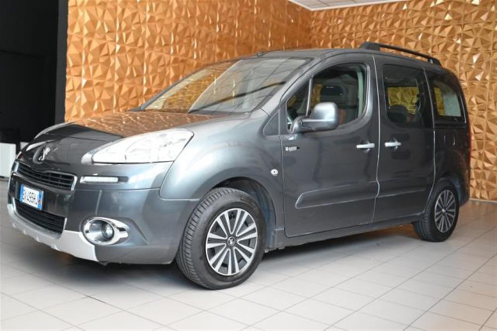 Partner Partner TEPEE 1.6 HDI 92CV S