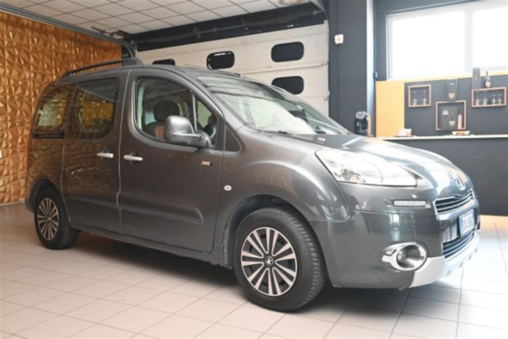 Partner Partner TEPEE 1.6 HDI 92CV S