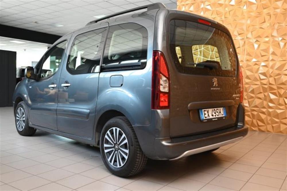 Partner Partner TEPEE 1.6 HDI 92CV S
