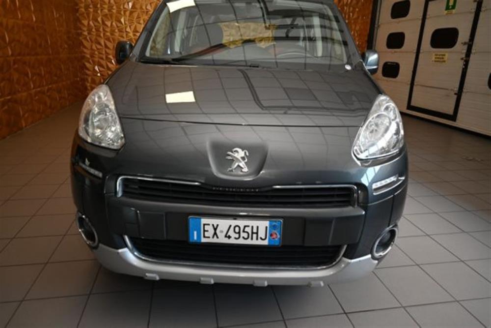 Partner Partner TEPEE 1.6 HDI 92CV S