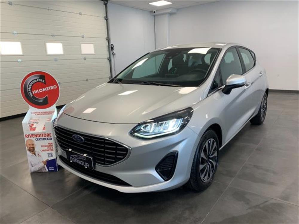 Fiesta Fiesta 1.1 Benzina Titanium