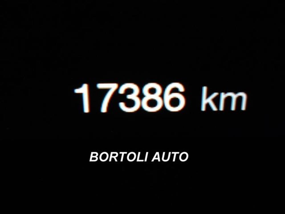 Tonale Tonale 1.5 160cv 17.000 KM