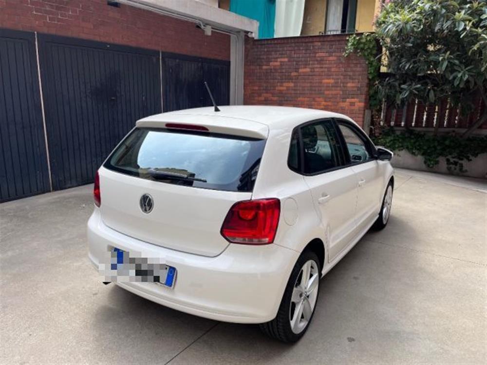 Polo Polo 1.2 TSI 5 porte High