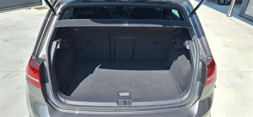 Golf Golf 2.0 TDI 5p. BlueMoti