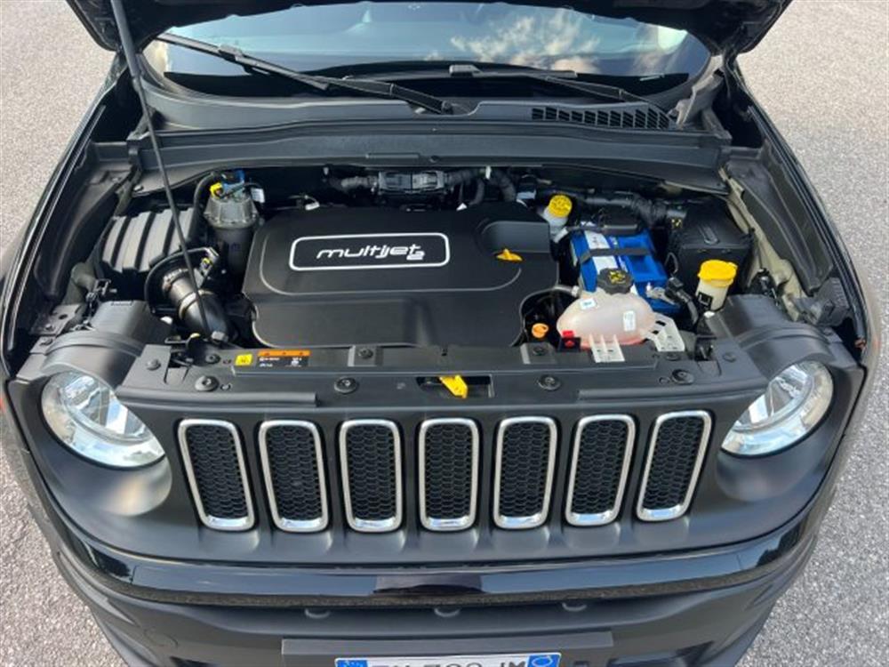 Renegade Renegade 1.6 Mjt CV 105 Longi