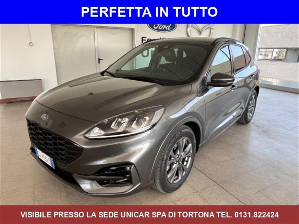 Kuga Kuga 1.5 Diesel 120cv.