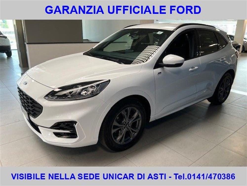 Kuga Kuga 2.0 EcoBlue 120 CV a