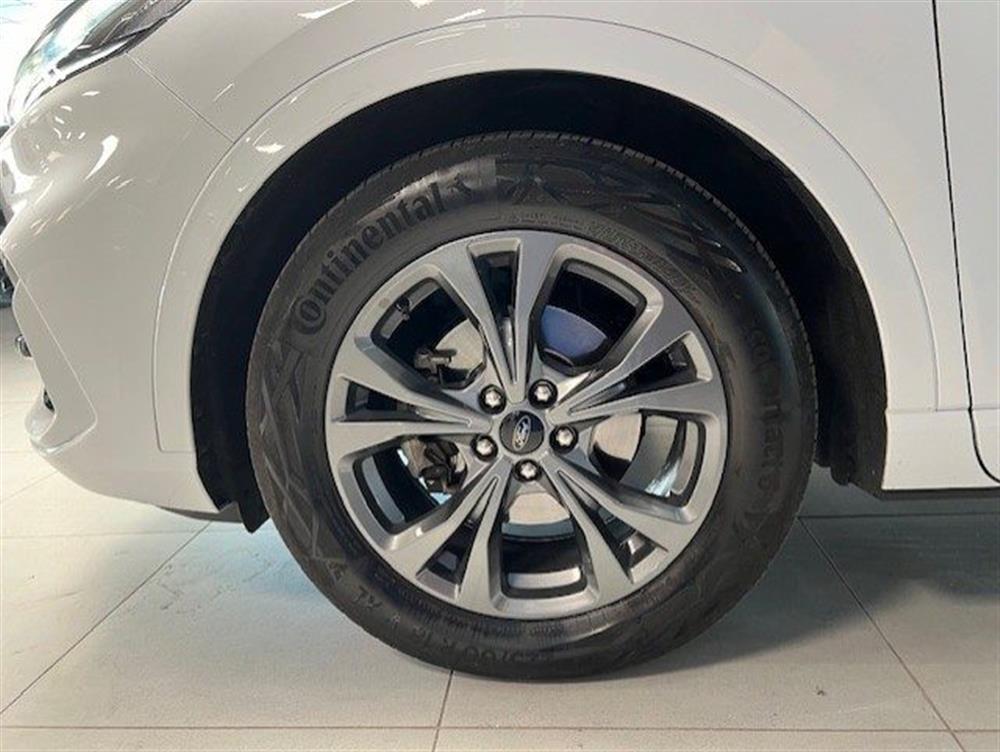 Kuga Kuga 2.0 EcoBlue 120 CV a