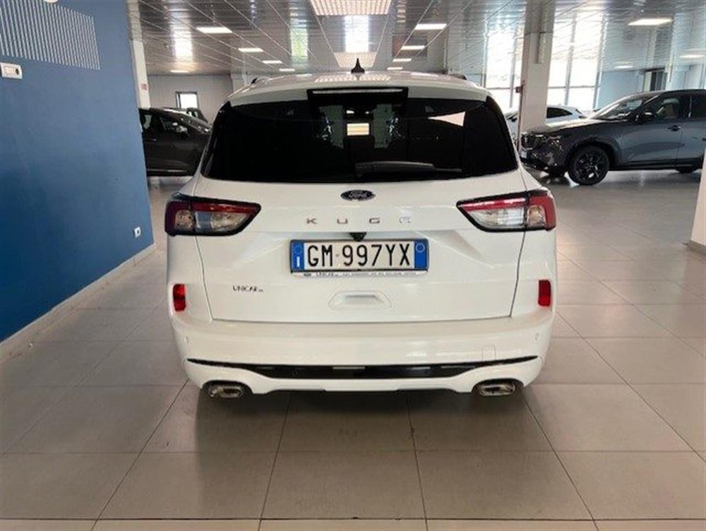 Kuga Kuga 2.0 EcoBlue 120 CV a