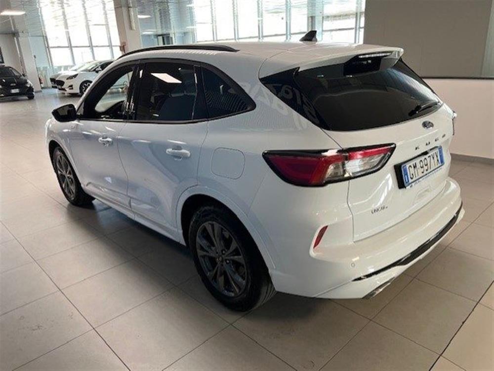 Kuga Kuga 2.0 EcoBlue 120 CV a