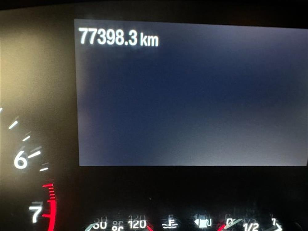 Focus Focus 1.000 BENZINA HYBRID
