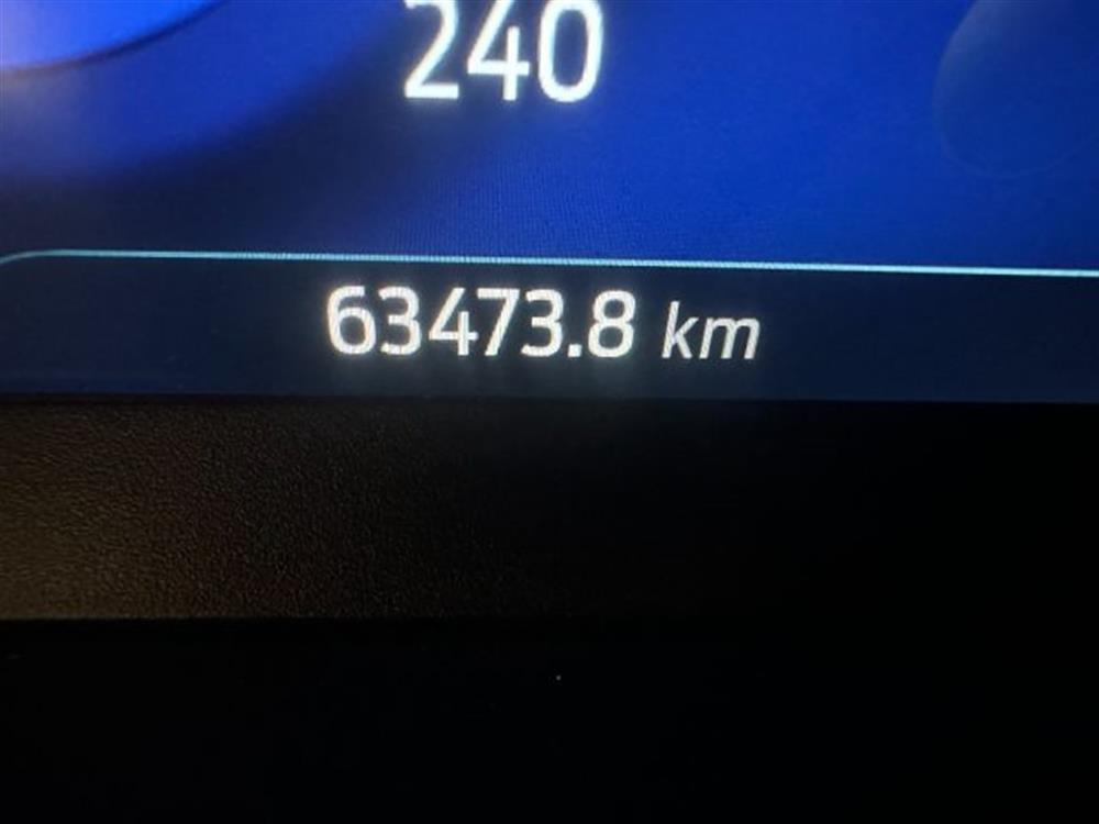Focus Focus 1.000 BENZINA HYBRID