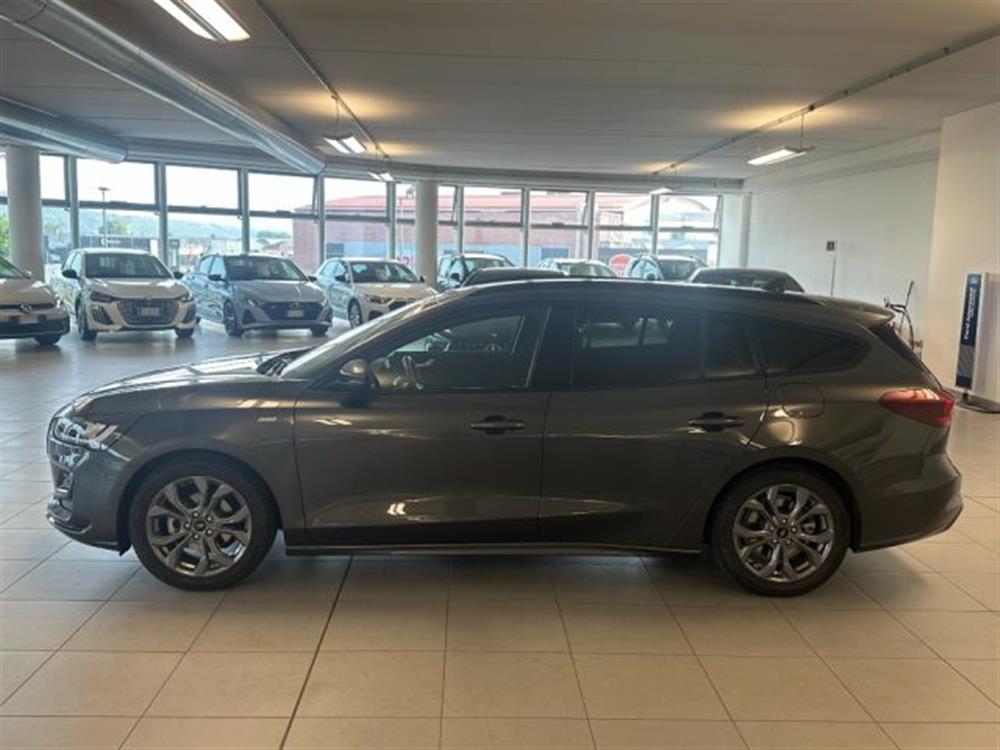 Focus Focus 1.000 BENZINA HYBRID