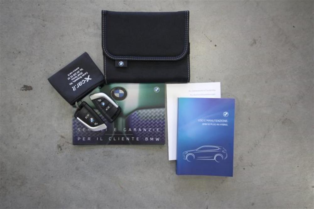X2 X2 xDrive25e Business-X