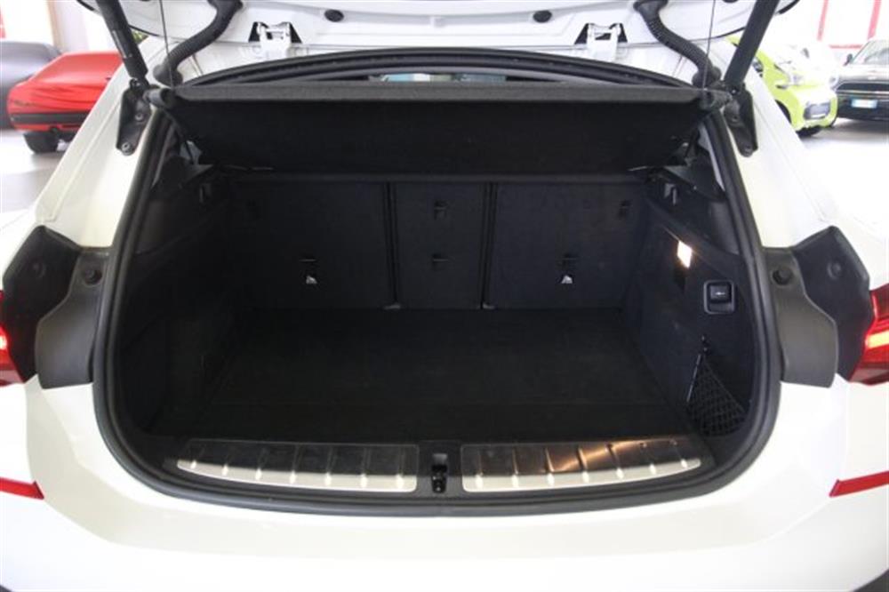 X2 X2 xDrive25e Business-X